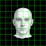 Grid Method for Drawing