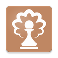 Grandmaster Openings