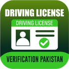 ikon DLIMS Verification 2024