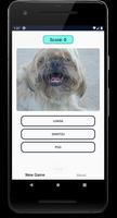 Dogs Quiz: Guess and Learn the Dogs Breeds Cartaz
