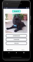 Dogs Quiz: Guess and Learn the Dogs Breeds imagem de tela 1