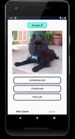 Dogs Quiz: Guess and Learn the screenshot 1