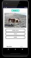 Dogs Quiz: Guess and Learn the Dogs Breeds imagem de tela 2