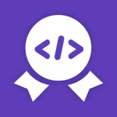 Codee: start to code XAPK 下載