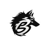 Bideo: Video Downloader Pro