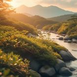 Nature & Landscape Wallpapers