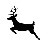 Life in snaps: Beautiful world