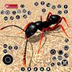 Insect Simulator Ants Life ikona
