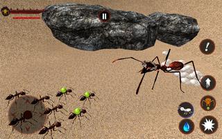 Ant Colony Tiny Bug Games Affiche