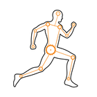 Custom Health Coaching icon