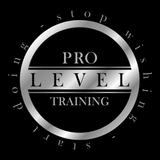Pro Level Training