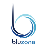 bluzone Coaching