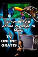Como Ver TV Online HD En Vivo 스크린샷 2