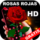 Rosas Rojas Bonitas y Naturales en HD Gratis icono
