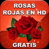Rosas Rojas Bonitas y Naturales en HD Gratis 포스터