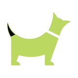 Supertails: Online Pet Shop