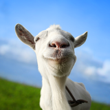 Goat Simulator icono