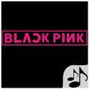BlackPink Lyrics and Music(Offline) APK