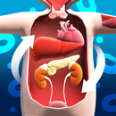 AR 항상성 실험실-APK