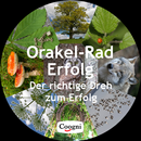 Orakel-Rad Erfolg APK