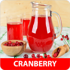 Cranberry rezepte app deutsch kostenlos offline icono