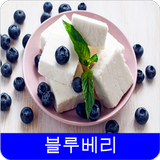 블루베리 레시피 иконка