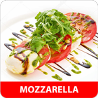 Mozzarella rezepte app deutsch kostenlos offline icono