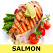 Salmon recipes for free app offline with photo
