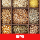 穀物のレシピアプリオフライン。レシピ 記録 icon