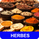 Herbes avec calories recettes en français. APK