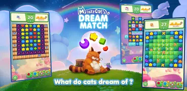 Lazy Cat Dream Match
