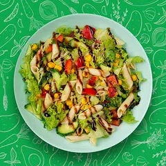 Salad Recipes APK download