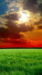 クールな壁紙 アプリダウンロード