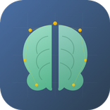 Brain Memory Training