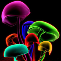 Cool Wallpaper