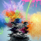 Cool Wallpapers APK