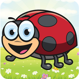 Ladybug adventure nature