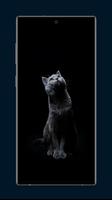 猫の壁紙 スクリーンショット 3