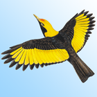 Morcombe's Birds of Australia ikona