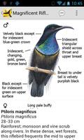 برنامه‌نما Morcombe's Birds of Aus (Lite) عکس از صفحه