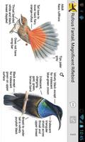 برنامه‌نما Morcombe's Birds of Aus (Lite) عکس از صفحه