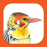 eGuide to Birds of East Africa-APK