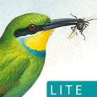 Sasol eBirds (Lite) simgesi