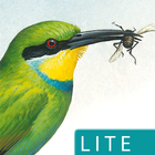 Sasol eBirds (Lite) icône