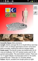 برنامه‌نما Snakes of Southern Africa Lite عکس از صفحه