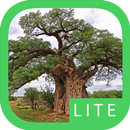 APK eTrees of Southern Africa Lite