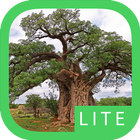 eTrees of Southern Africa Lite Zeichen