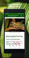 Frogs of Southern Africa screenshot 2
