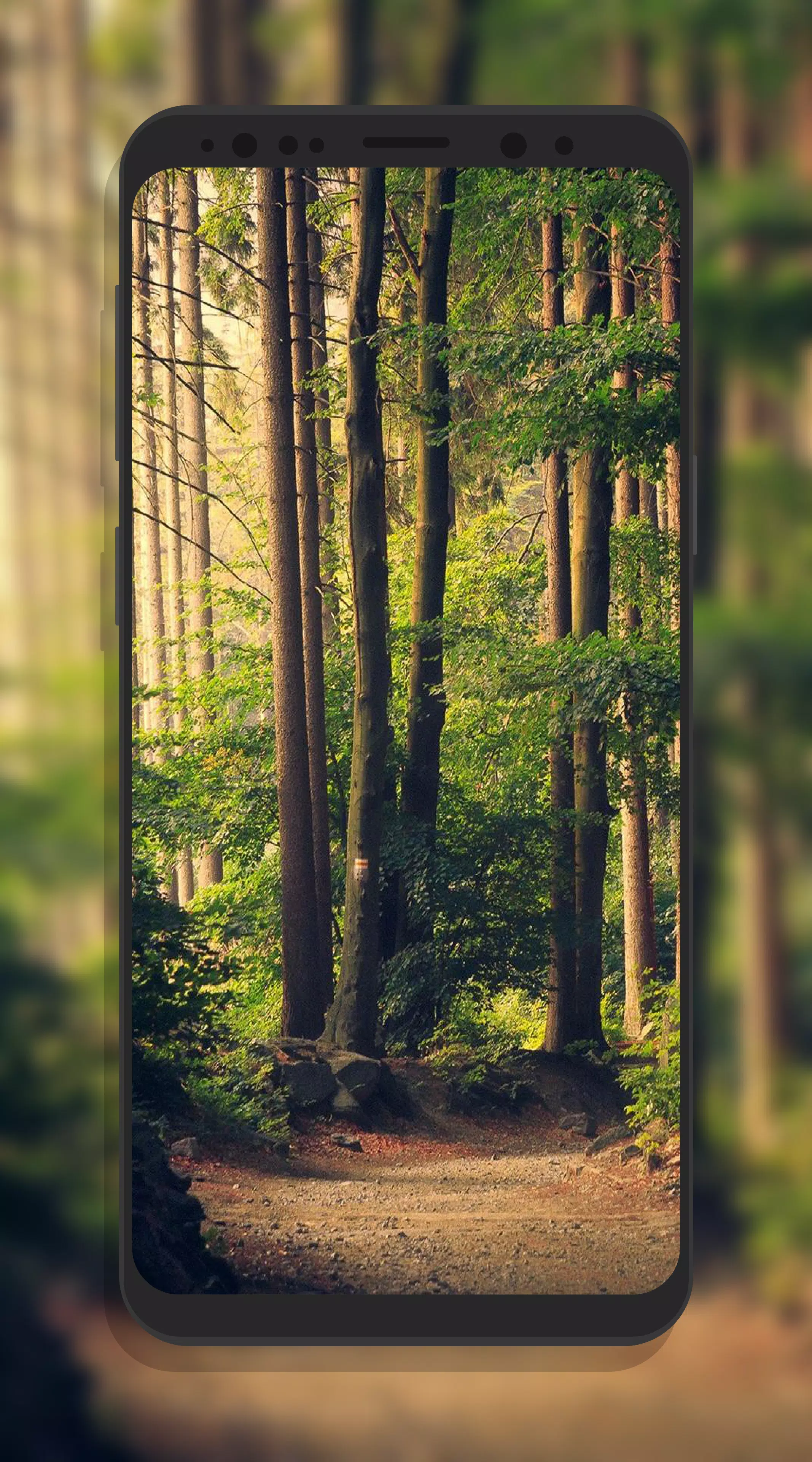 HD Wallpaper Nature(4k) APK for Android Download HD Wallpaper Nature(4k) APK for Android Download