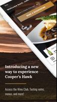 Cooper's Hawk постер